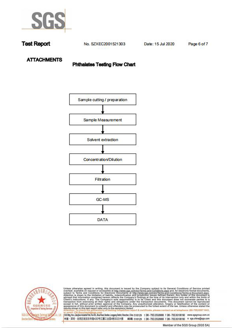 一次性保險(xiǎn)絲SGS認(rèn)證報(bào)告6